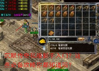 沉默传奇私服新手入门?这些必备攻略你都知道吗? 沉默传奇私服新手入门?这些必备攻略你都知道吗?