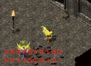 ��ο�������������;�µ��������ս������