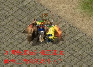 ��ο�������������;�µ��������ս������