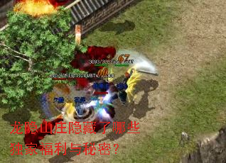 龙隐山庄隐藏了哪些独家福利与秘密? 龙隐山庄隐藏了哪些独家福利与秘密?