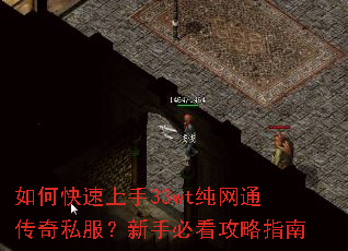 如何快速上手33wt纯网通传奇私服?新手必看攻略指南 如何快速上手33wt纯网通传奇私服?新手必看攻略指南