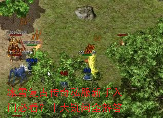 ��ѩ���Ŵ���˽���������űؿ���ʮ������ȫ���