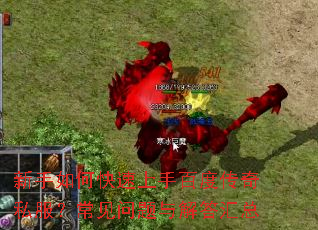 ������ο������ְٶȴ���˽�������������������