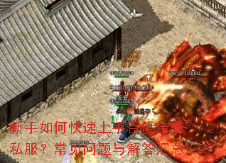 ������ο������ְٶȴ���˽�������������������