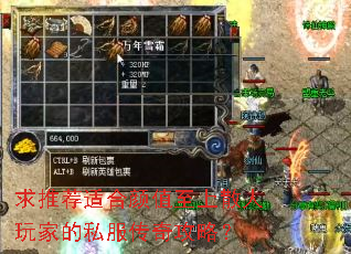 求推荐适合颜值至上散人玩家的私服传奇攻略? 求推荐适合颜值至上散人玩家的私服传奇攻略?