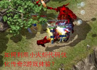 �������С�������Ż�����3��Ϸ���飿