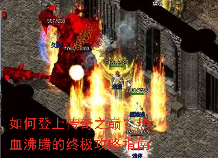 ��ε��ϴ���֮�ۣ���Ѫ���ڵ��ռ�����ָ��