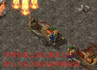 传奇私服三端互通怎么玩?新人小白上路必备攻略指南 传奇私服三端互通怎么玩?新人小白上路必备攻略指南