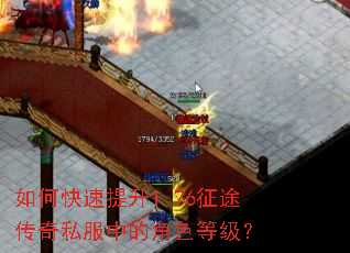 ��ο�������1.76��;����˽���еĽ�ɫ�ȼ���