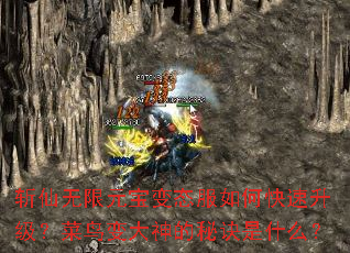 ն������Ԫ����̬����ο�������������������ؾ���ʲô��