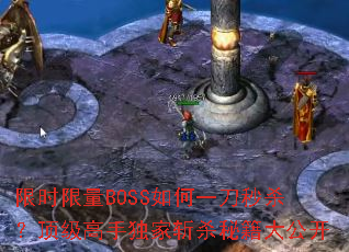 ��ʱ����BOSS���һ����ɱ���������ֶ���նɱ�ؼ��󹫿�