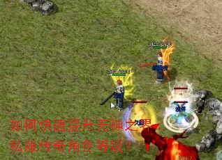 如何快速提升无神之界私服传奇角色等级? 如何快速提升无神之界私服传奇角色等级?