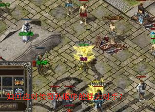 ���Ӧ�Դ���˽���е�ǿ�����֣�