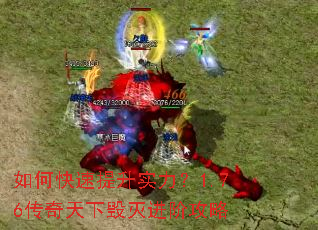 ��ο�������ʵ����1.76�������»�����׹���