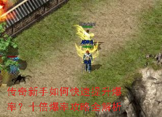 ����������ο����������ʣ�ʮ�����ʹ���ȫ����