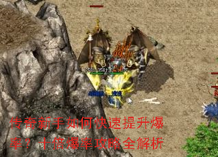 ����������ο����������ʣ�ʮ�����ʹ���ȫ����