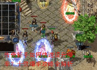 ����������ο����������ʣ�ʮ�����ʹ���ȫ����