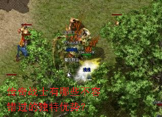 ����սʿ����Щ���ݴ����Ķ������ƣ�