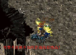 �����������������ȷʰȡ��Ʒ��