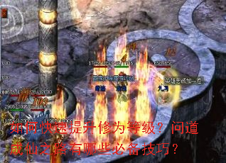 ��ο���������Ϊ�ȼ����ʵ�����֮·����Щ�ر����ɣ�