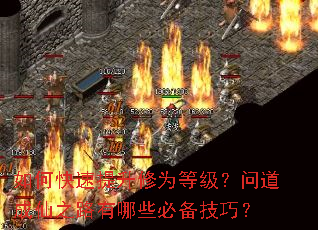 ��ο���������Ϊ�ȼ����ʵ�����֮·����Щ�ر����ɣ�