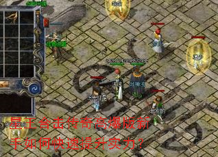 �����ϻ�����߱���������ο�������ʵ����