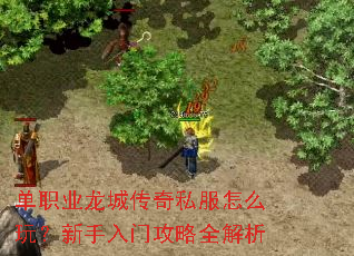 ��ְҵ���Ǵ���˽����ô�棿�������Ź���ȫ����