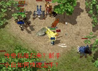 ����˽������������С����ο������֣�