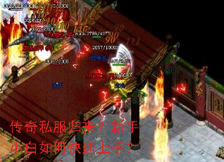 ����˽������������С����ο������֣�