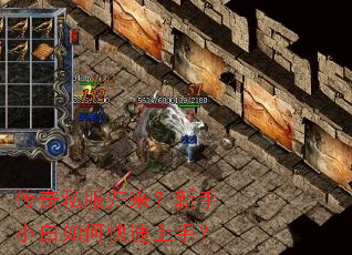 ����˽������������С����ο������֣�