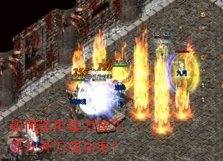 ������õ浶�������������ɹ��ʣ�