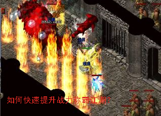 ��ο�������ս���ưԽ�����