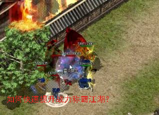 ��ο�������ս���ưԽ�����