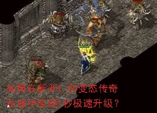 ������¿�1.80��̬����˽����ʵ��1�뼫��������