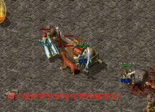 ��ο��������������������ȼ���