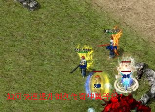 ��ο��������������������ȼ���