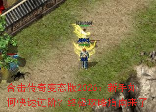 �ϻ������̬��2026��������ο��ٽ��ף��ռ�����ָ������