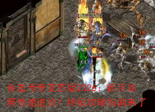 �ϻ������̬��2026��������ο��ٽ��ף��ռ�����ָ������