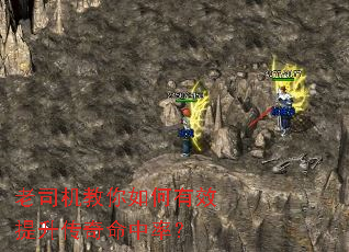 ��˾�����������Ч�������������ʣ�