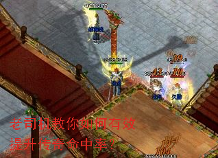 ��˾�����������Ч�������������ʣ�