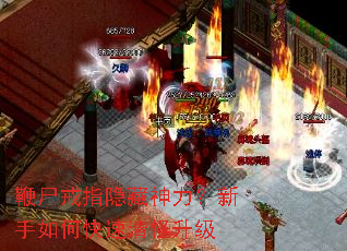 ��ʬ��ָ����������������ο����������