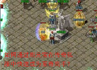 ���ͨ��ˢԪ���ڴ���˽���п��ٳ�Ϊ������֣�