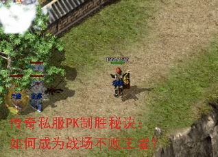 ����˽��PK��ʤ�ؾ�����γ�Ϊս���������ߣ�