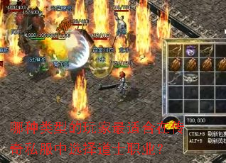 �������͵�������ʺ��ڴ���˽����ѡ���ʿְҵ��