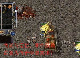 ��������䣬�ĸ������ڸ��Ŵ����и�ʵ�ã�