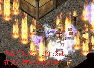 ��������䣬�ĸ������ڸ��Ŵ����и�ʵ�ã�