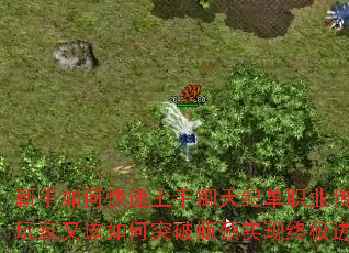 ������ο�����������͵�ְҵ���棿������ָ����ͻ��ƿ��ʵ���ռ����ף�