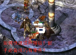 ��ο��������ȼ������ֱر���������Щ��