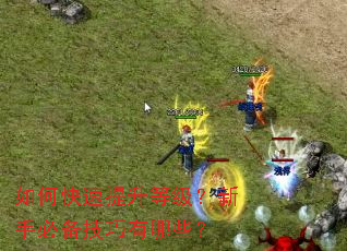 ��ο��������ȼ������ֱر���������Щ��