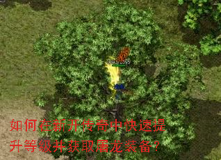 ������¿������п��������ȼ�����ȡ����װ����